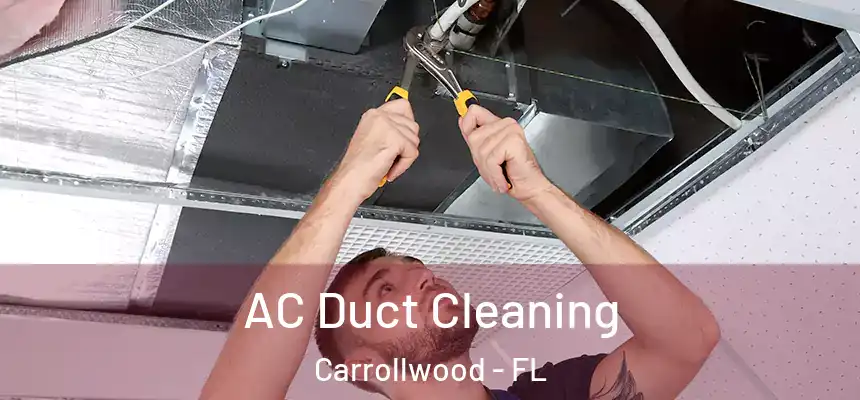  AC Duct Cleaning Carrollwood - FL