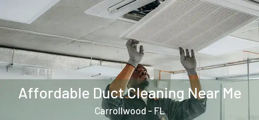  Affordable Duct Cleaning Near Me Carrollwood - FL