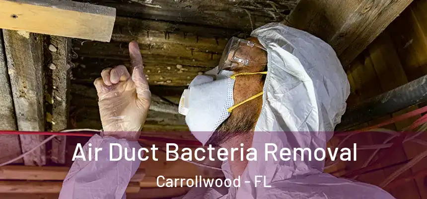  Air Duct Bacteria Removal Carrollwood - FL