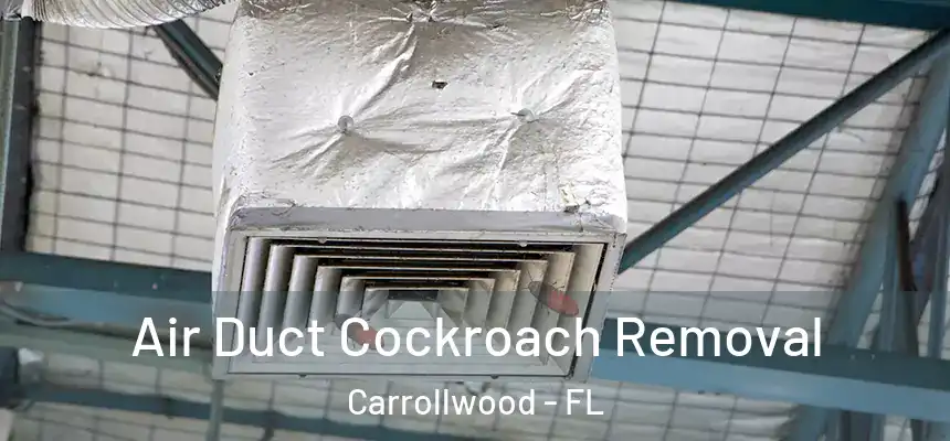 Air Duct Cockroach Removal Carrollwood - FL
