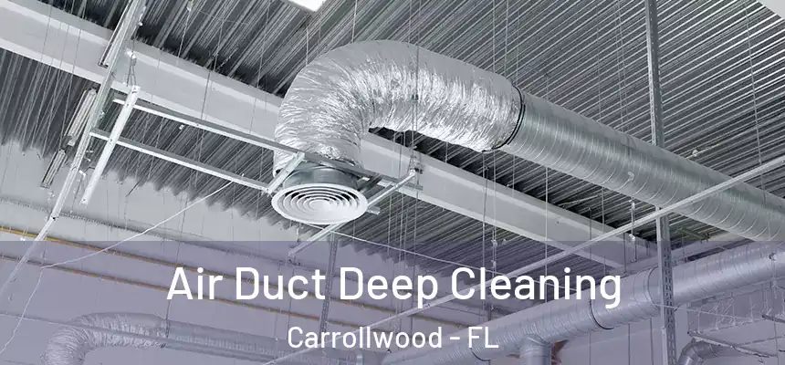  Air Duct Deep Cleaning Carrollwood - FL