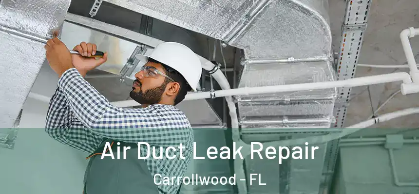  Air Duct Leak Repair Carrollwood - FL