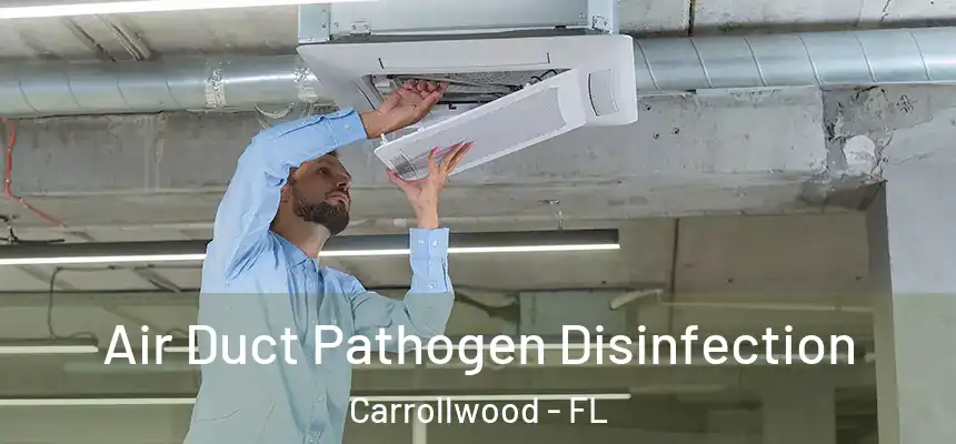  Air Duct Pathogen Disinfection Carrollwood - FL