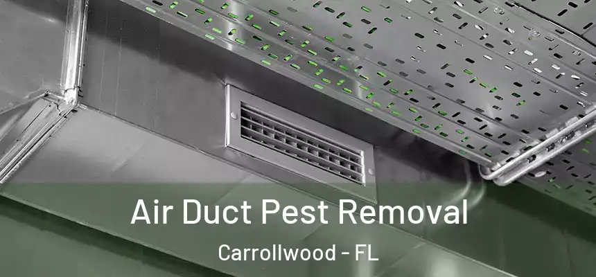  Air Duct Pest Removal Carrollwood - FL