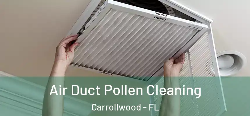  Air Duct Pollen Cleaning Carrollwood - FL