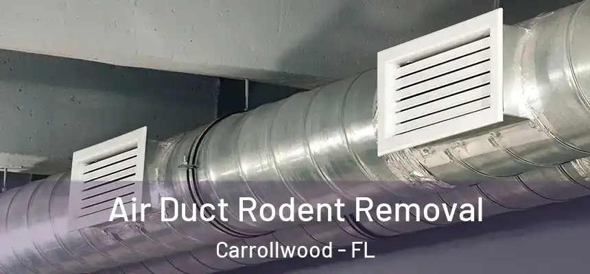  Air Duct Rodent Removal Carrollwood - FL