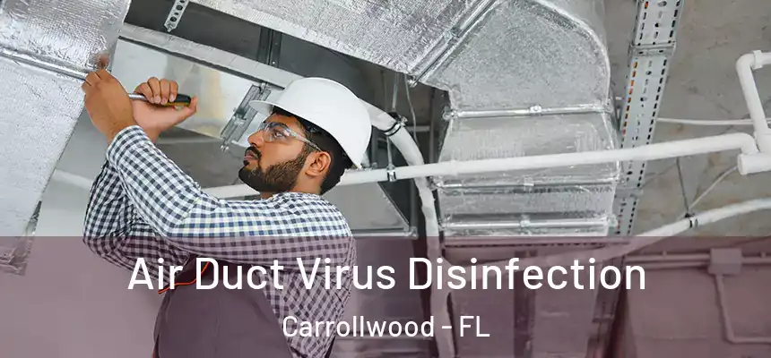  Air Duct Virus Disinfection Carrollwood - FL