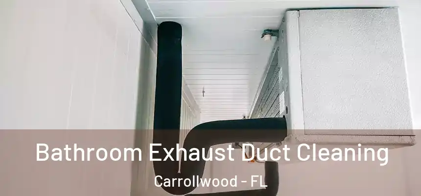  Bathroom Exhaust Duct Cleaning Carrollwood - FL