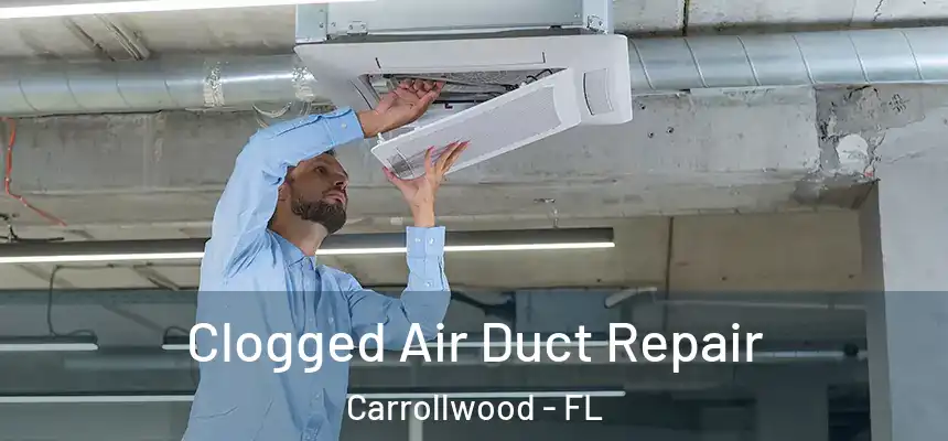  Clogged Air Duct Repair Carrollwood - FL