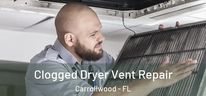  Clogged Dryer Vent Repair Carrollwood - FL