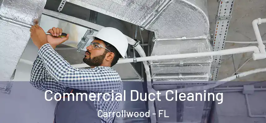  Commercial Duct Cleaning Carrollwood - FL