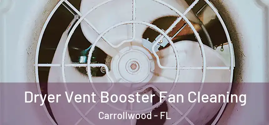  Dryer Vent Booster Fan Cleaning Carrollwood - FL