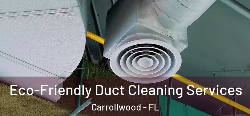  Eco-Friendly Duct Cleaning Services Carrollwood - FL