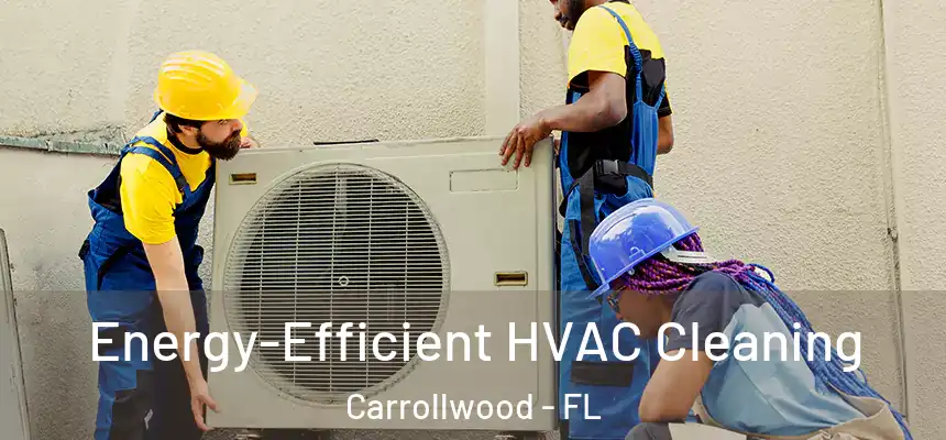  Energy-Efficient HVAC Cleaning Carrollwood - FL