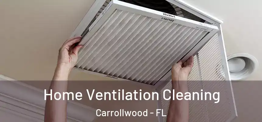  Home Ventilation Cleaning Carrollwood - FL
