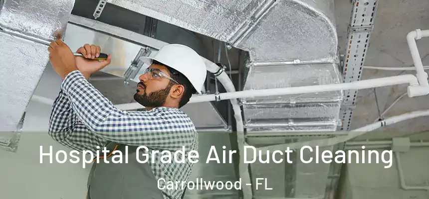  Hospital Grade Air Duct Cleaning Carrollwood - FL