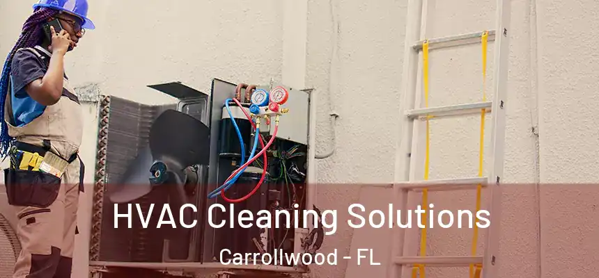  HVAC Cleaning Solutions Carrollwood - FL