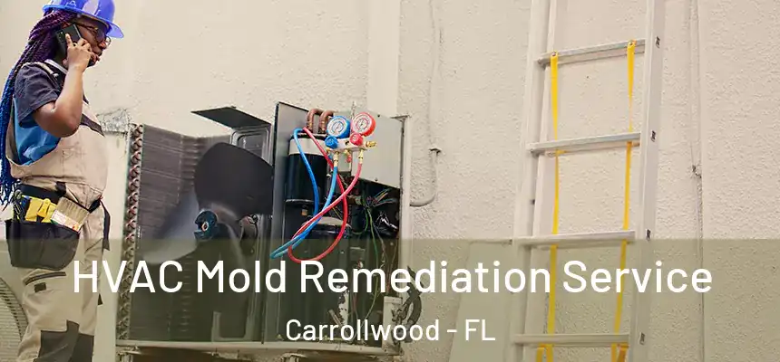  HVAC Mold Remediation Service Carrollwood - FL