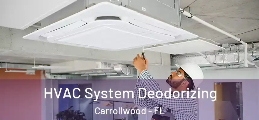 HVAC System Deodorizing Carrollwood - FL