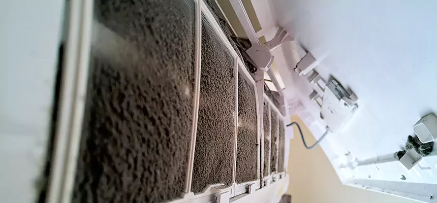 Preventive Air Duct Bacteria Removal in Carrollwood