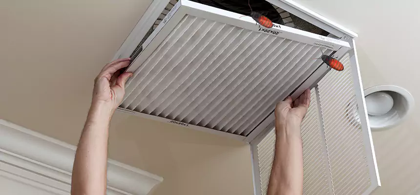 Preventive Cockroach-Proofing for Ducts in Carrollwood