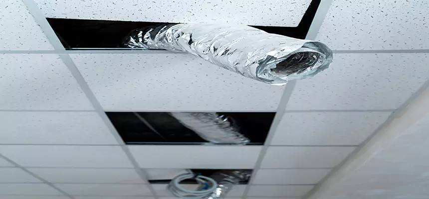 Affordable HVAC Sanitizing After Pest Removal in Carrollwood