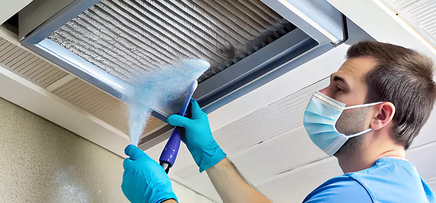 Proactive Dryer Vent & Auxiliary Duct Pollen Cleanup in Carrollwood, FL