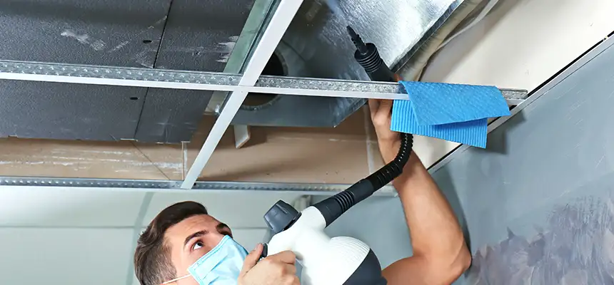 Our Air Duct Rodent Removal Services in Carrollwood, FL