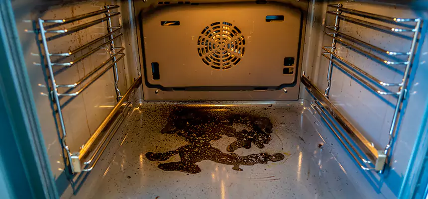 Our Air Purifier Installation Services in Carrollwood, FL