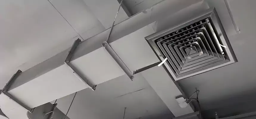 Restorative Allergy Relief Vent Cleaning – Coil, Blower & Housing Detail in Carrollwood