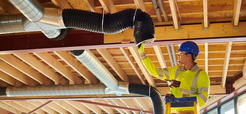 Replacing a Dryer Hose in Carrollwood, FL