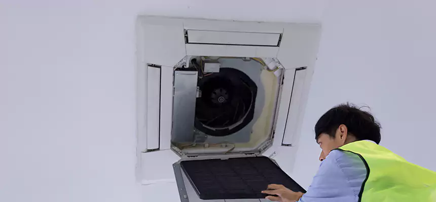 Our Dryer Vent Sanitization Service Services in Carrollwood, FL