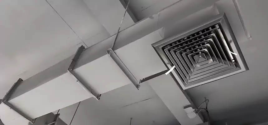 Our Pest Removal From Ducts Services in Carrollwood, FL