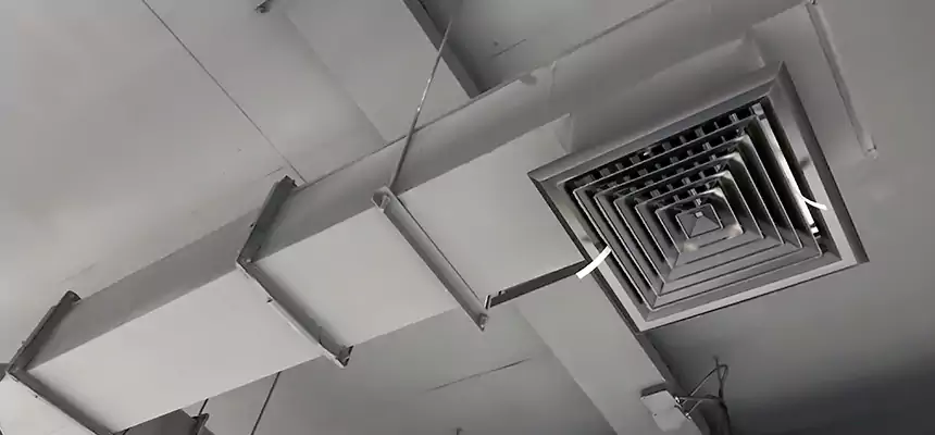 Our Rodent Droppings In Vents Services in Carrollwood, FL