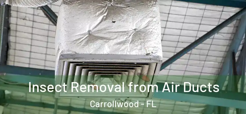  Insect Removal from Air Ducts Carrollwood - FL