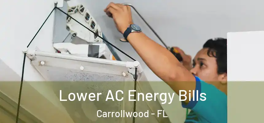  Lower AC Energy Bills Carrollwood - FL