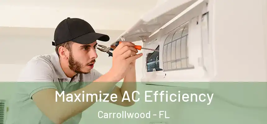  Maximize AC Efficiency Carrollwood - FL