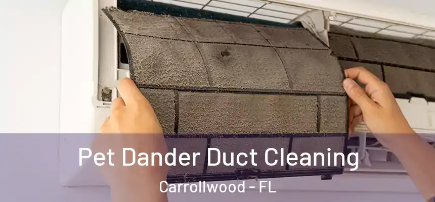  Pet Dander Duct Cleaning Carrollwood - FL