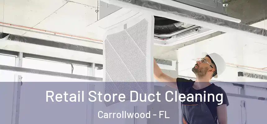  Retail Store Duct Cleaning Carrollwood - FL