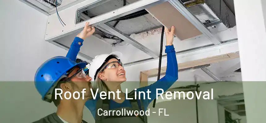 Roof Vent Lint Removal Carrollwood - FL