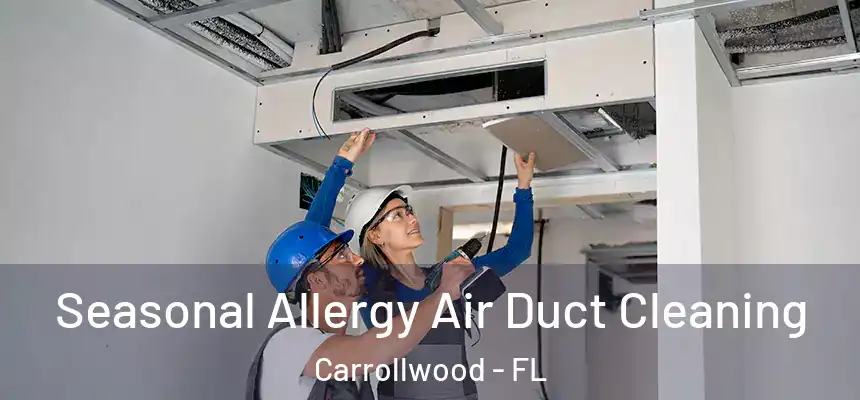  Seasonal Allergy Air Duct Cleaning Carrollwood - FL