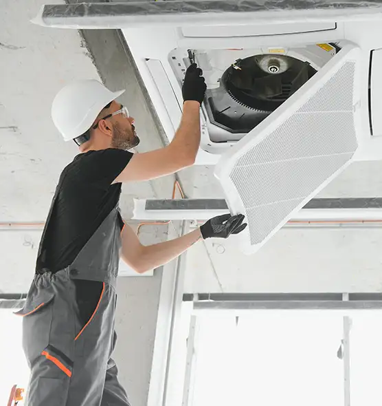 About Air Duct Rodent Removal in Carrollwood, FL