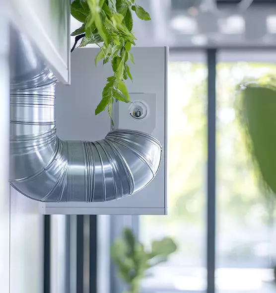 Professional Eco-Friendly Duct Cleaning Services in Carrollwood, FL