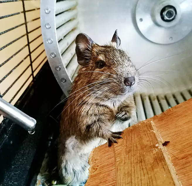 Why Homeowners & Businesses Trust Us Carrollwood, FL