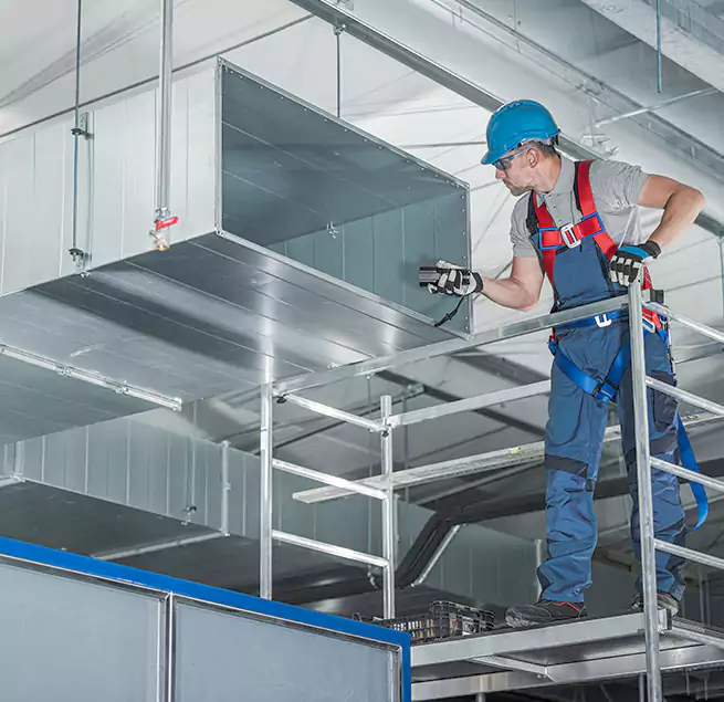 Why Homeowners & Businesses Trust Us in Carrollwood, FL?