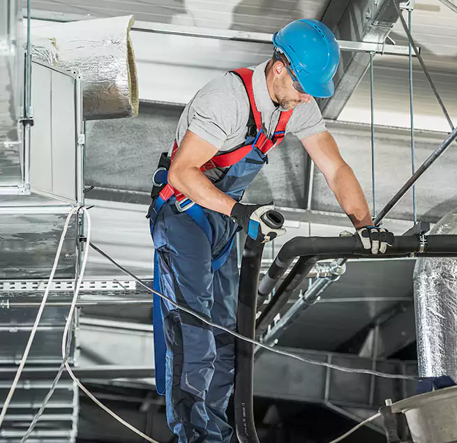 Why Homeowners & Businesses Trust Us in Carrollwood, FL?