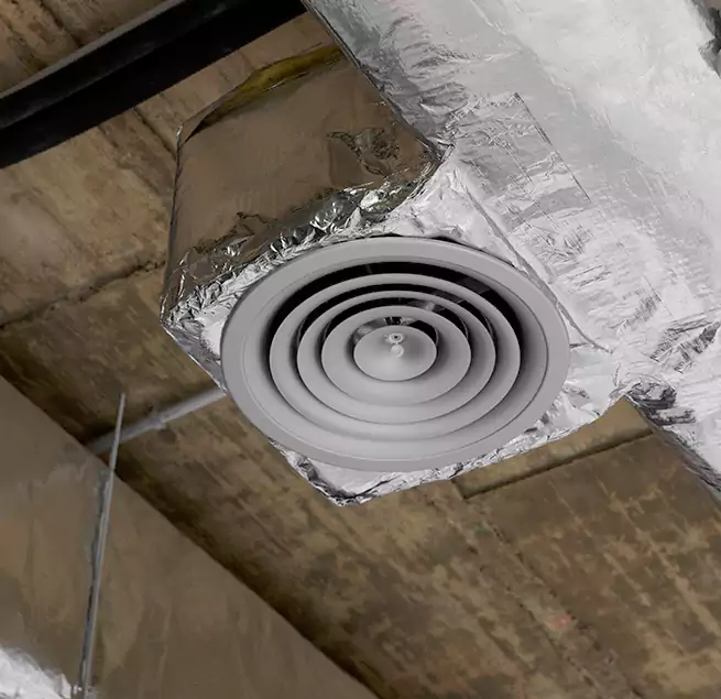 Why Homeowners & Businesses Trust Us in Carrollwood, FL