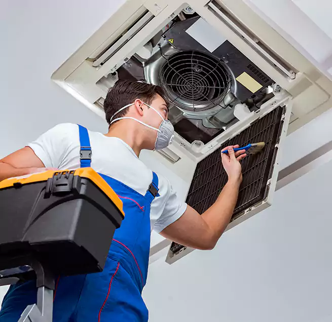 Why Homeowners & Businesses Trust Us in Carrollwood, FL