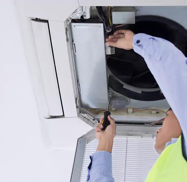 Why Homeowners & Businesses Trust Us in Carrollwood, FL?