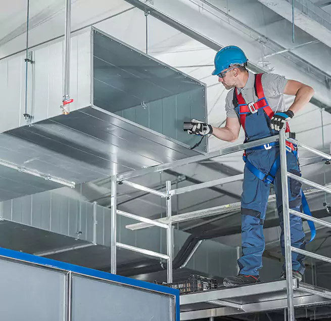 Why Homeowners Businesses Trust Us in Carrollwood, FL